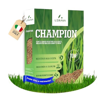 LERAVA Champion Grass Seeds 70m²